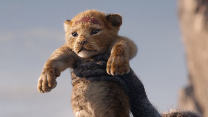 ©2019 Disney Enterprises, Inc. All Rights Reserved. ©2019 Disney Enterprises, Inc. All Rights Reserved.